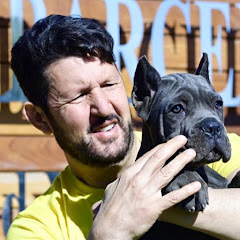  Cane Corso XMAN