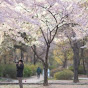 사회복지