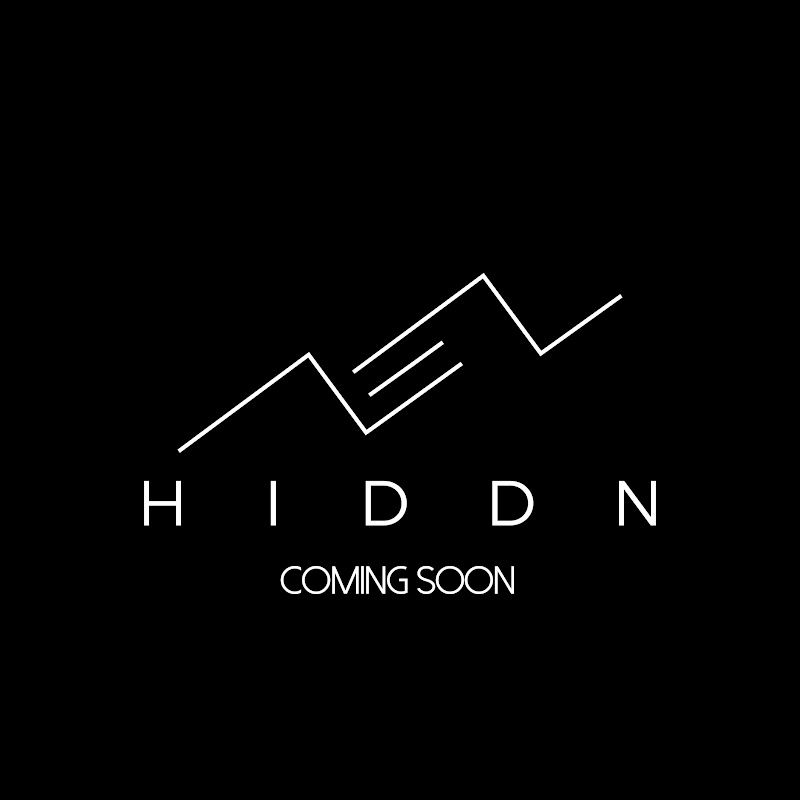 Hiddn Travel