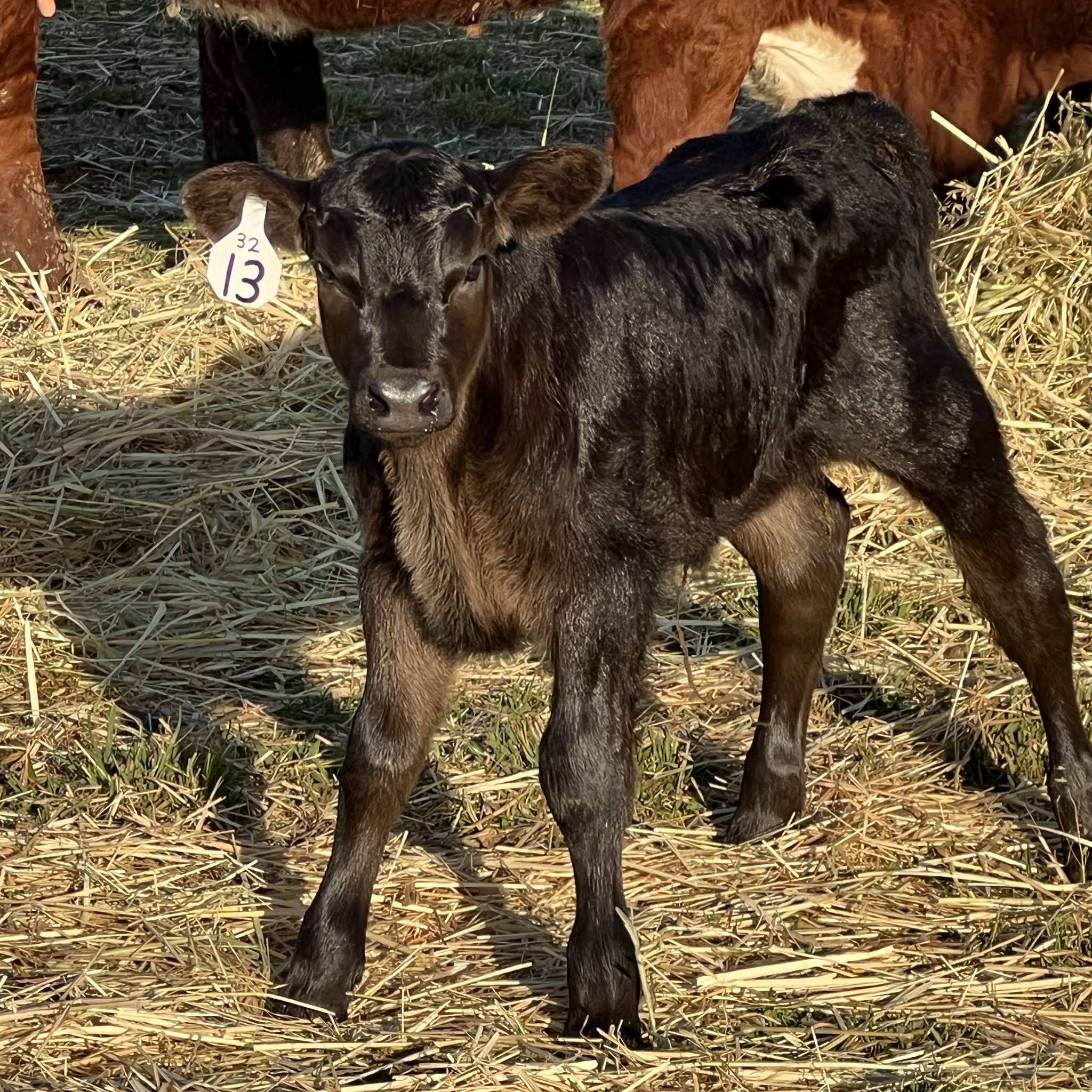 Post from Farmer Tyler Ranch