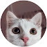 gDGOpunHtIQ-channel-avatar-Catto_Luna