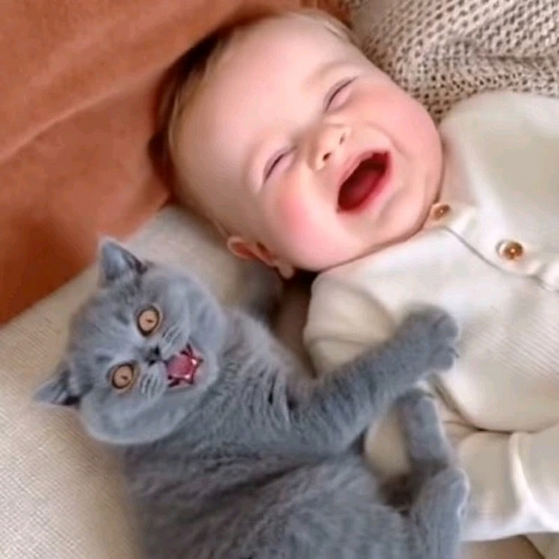 Cute babies and cute pets avatar