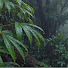 3cSPl7uuPtQ-channel-avatar-Rainova