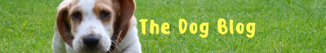 The Dog Blog YouTube channel avatar