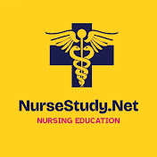 NurseStudy Net
