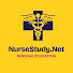8Im1UjVuYZw-channel-avatar-NurseStudy Net