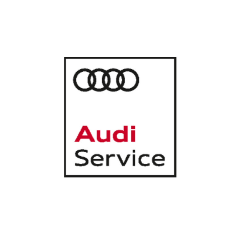 Audi Service Russia