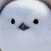 GrooveDrop