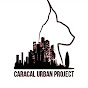 Caracal Urban Project