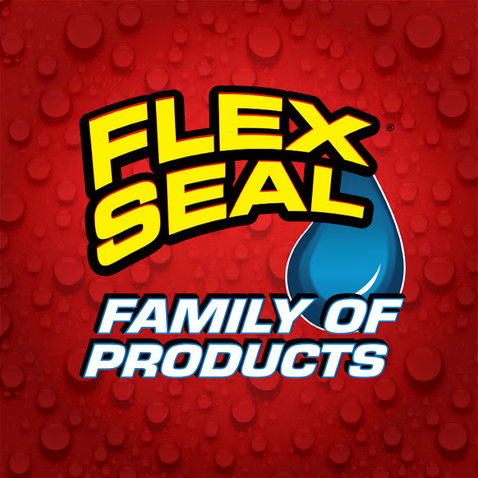 Flex Seal Net Worth & Earnings (2024)