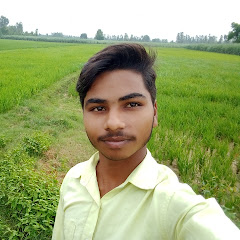 SAINI STUDIO