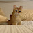 @pongdangjong7782