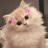 @GehadTarek-b6l
