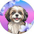 6CASTT1_xZY-channel-avatar-Kanvi