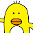 The Duck