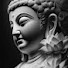8SxQj5IpEgg-channel-avatar-Buddha Teachings Daily