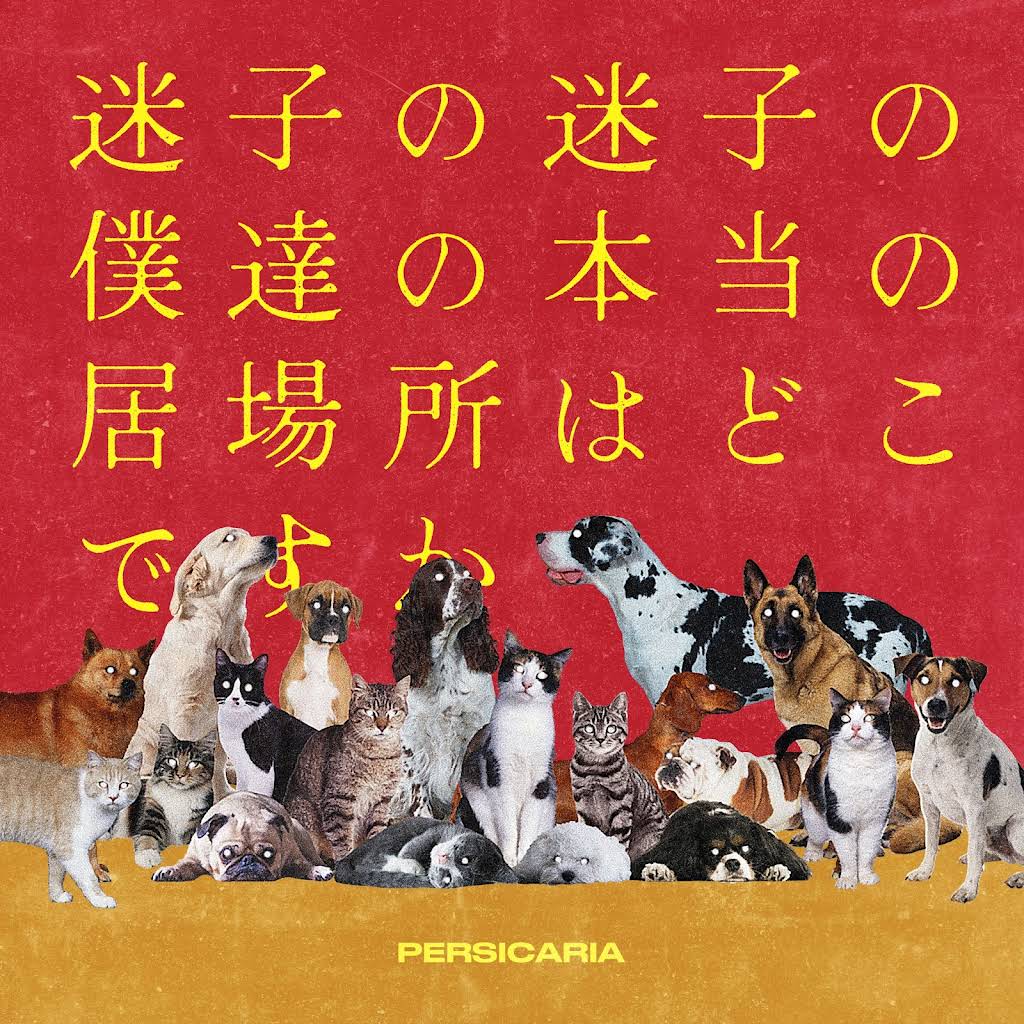 ペルシカリア　金物　メンバーサイン入り　会場限定 ペルシカリア 金物 サイン入りCD 6枚セット - メルカリ