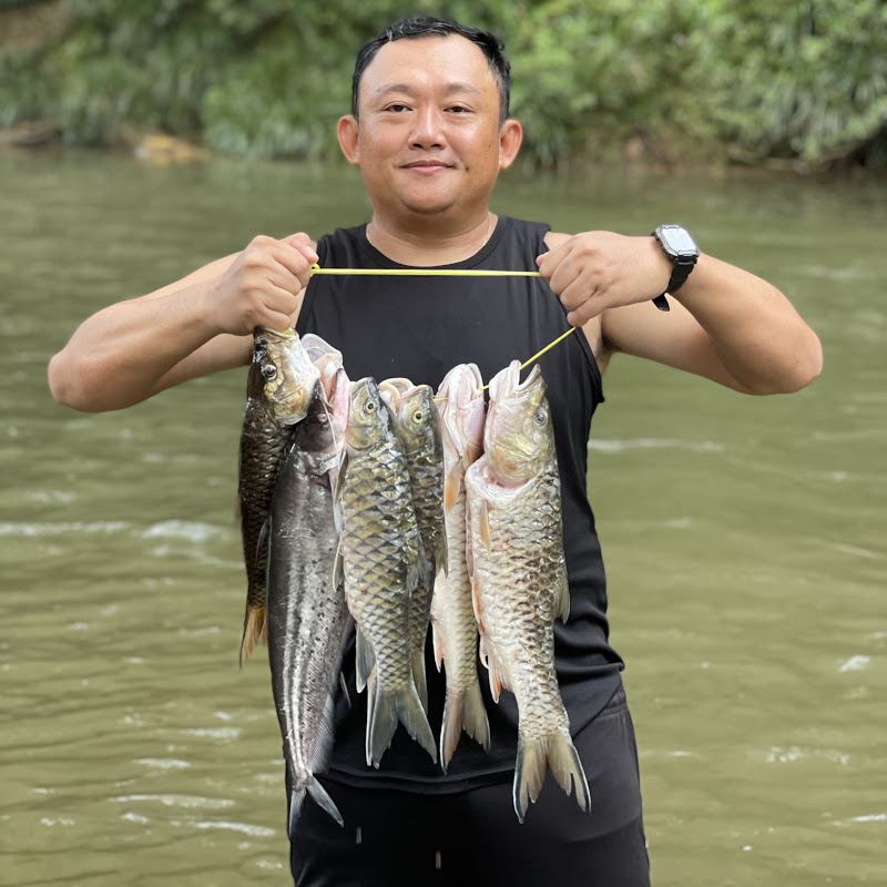 PANO TAM