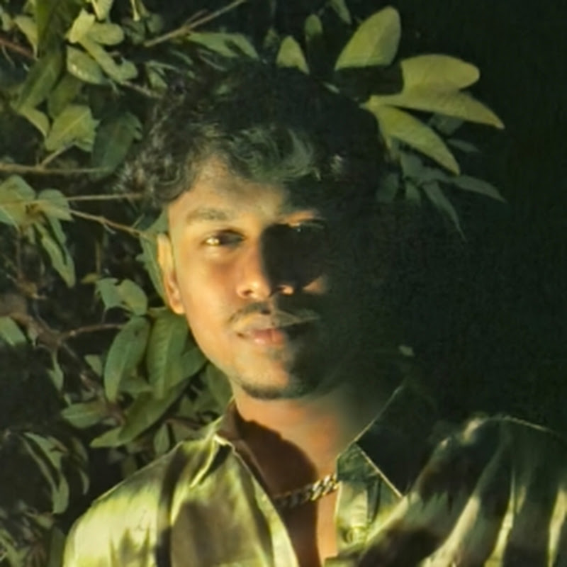 HindiZila