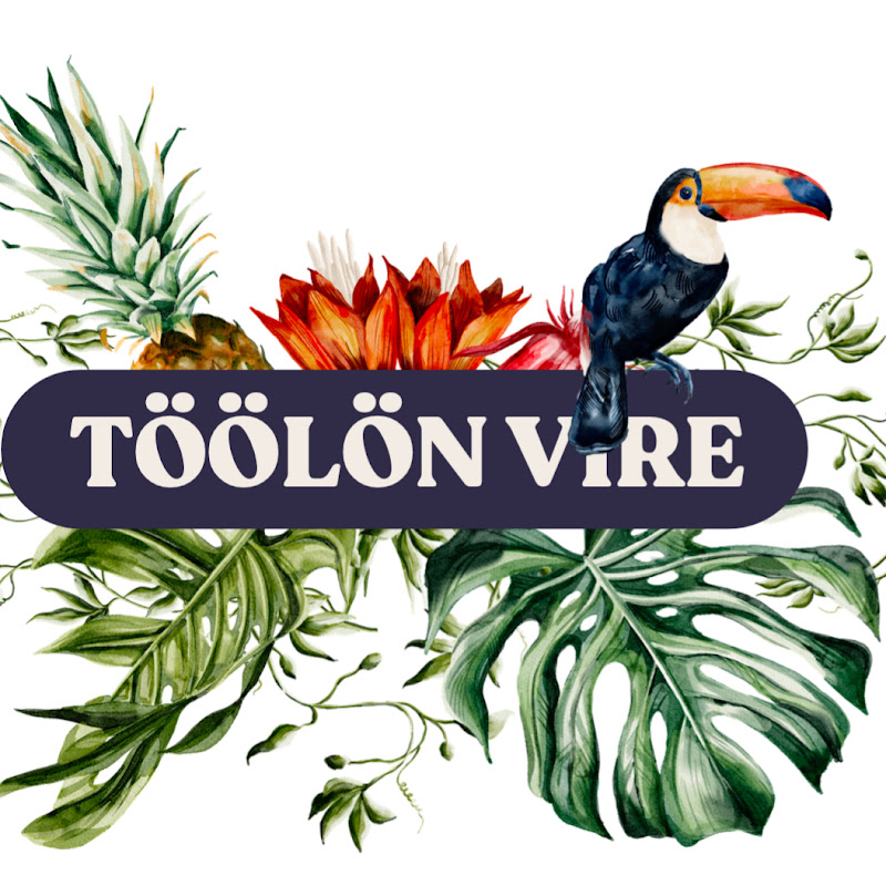 Töölön Vire