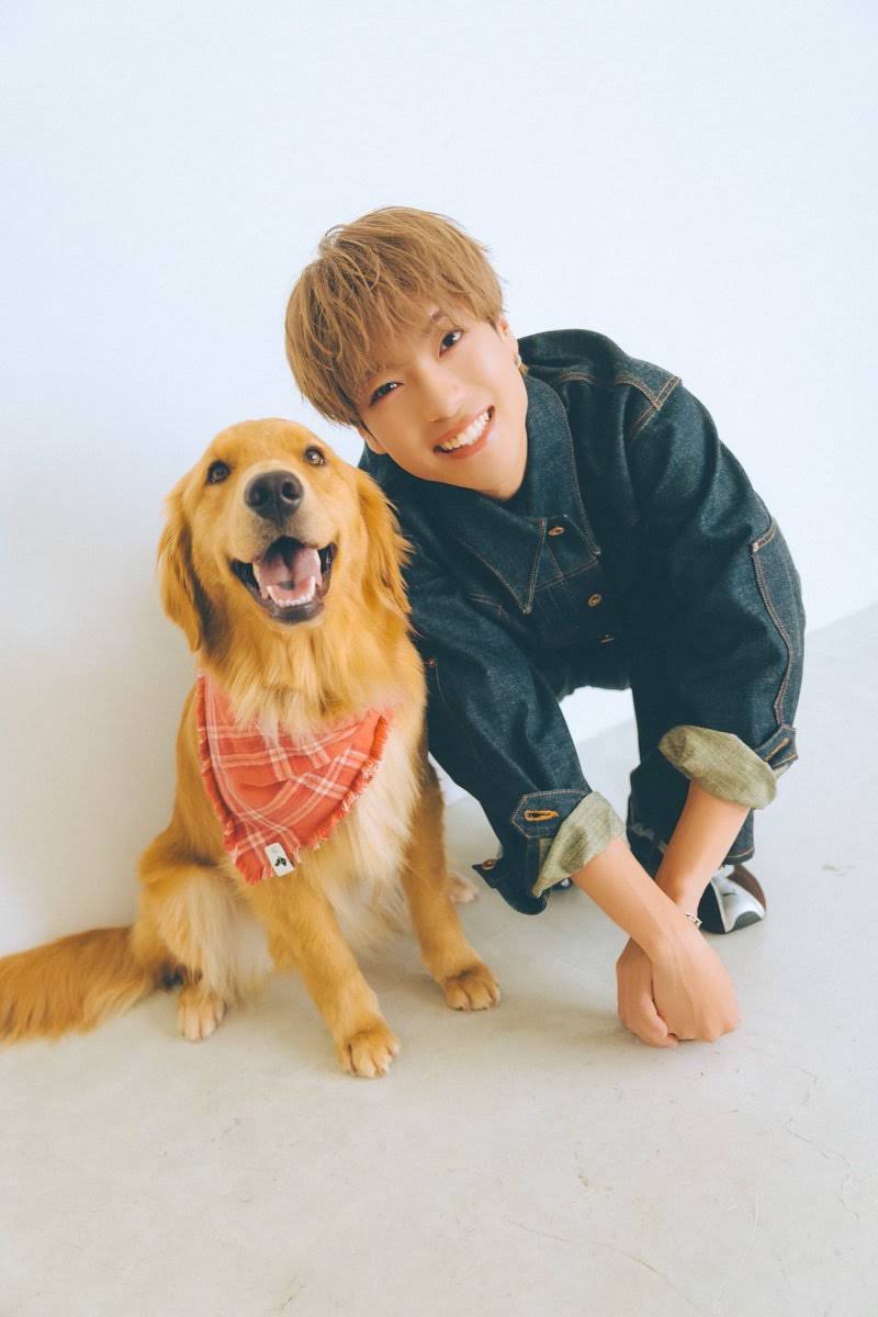 Post from 月刊わんこ Channel - YouTube