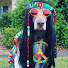 ytBg9jhzQC8-channel-avatar-Wardogs Studio