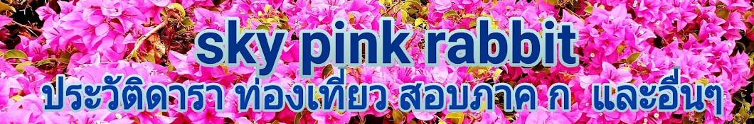 Sky Pink Rabbit YouTube channel avatar