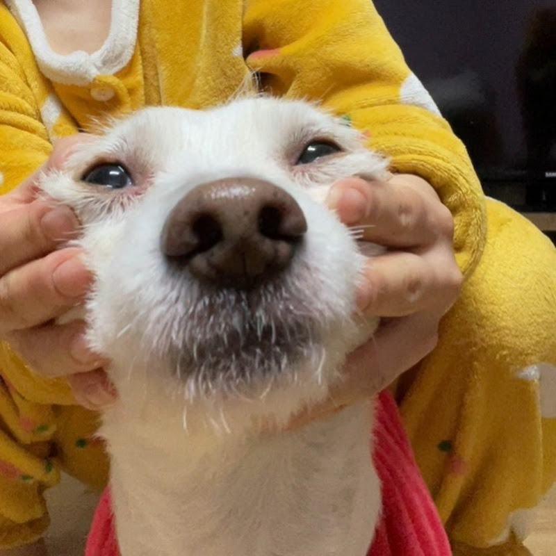 귯걸