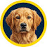 29dC8PJYevw-channel-avatar-Puppy Logic