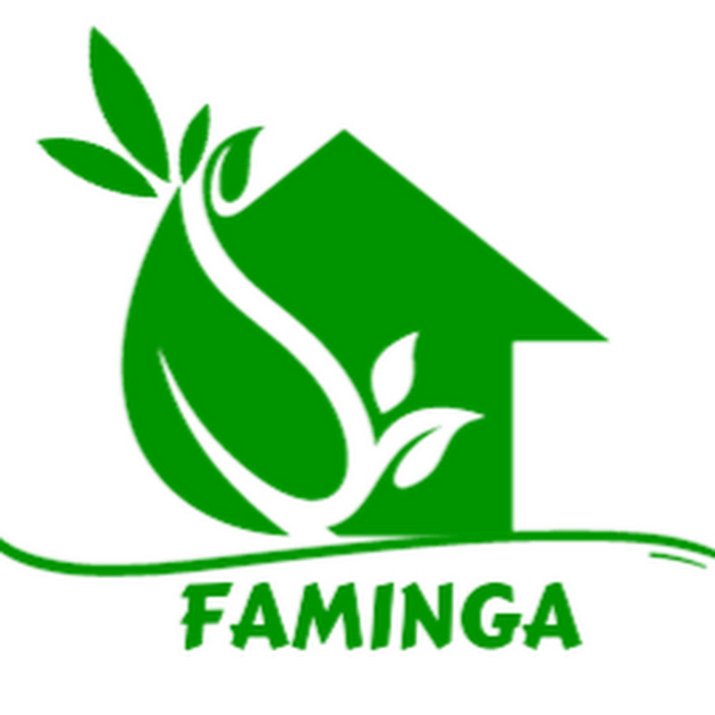 Faminga TV