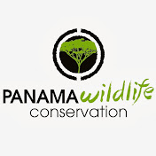 Panama Wildlife Conservation NGO