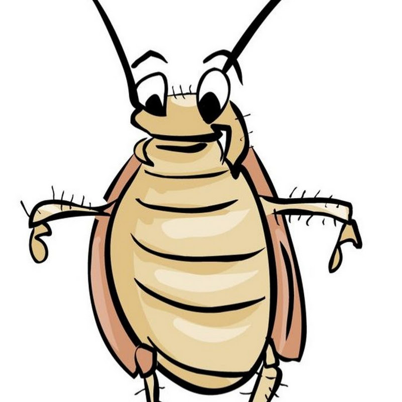 Стратег Диванного Легиона Logo