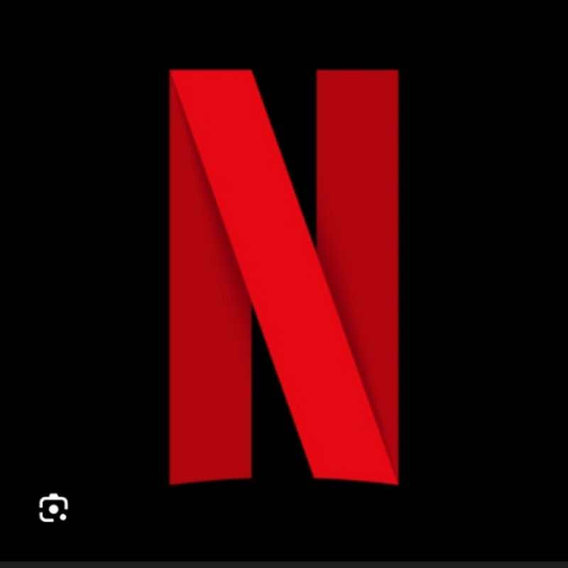 NETFLIX SHORTS 