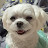 @멍멍가을이튜브