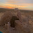 @LeenAhmed-e6v