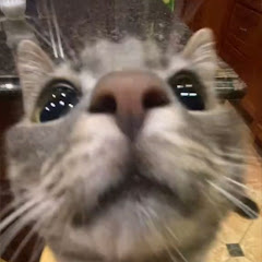 °Moon_Hannie° #7,0k?