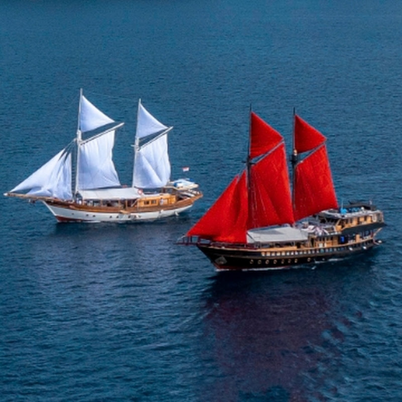 calicojackcharters