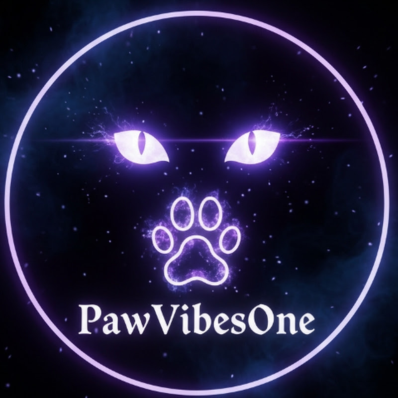PawVibesone