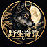 xHTTxbPQqtk-channel-avatar-野生奇譚