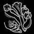wTj1pktKOl0-channel-avatar-Jardins des Demains | maraîchage paysan