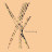@ykyielding9556's avatar