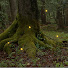 ubMUsmaOSaQ-channel-avatar-Foggy Mountain Trails