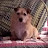 @patriciabaldwin3657 Avatar