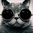 KUXovBm76NY-channel-avatar-KOSer