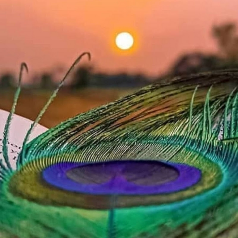 Swastik~era editz & lofi