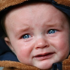 心を揺さぶる感動秘話