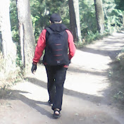 Bebas Terarah