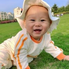 小登碎碎念