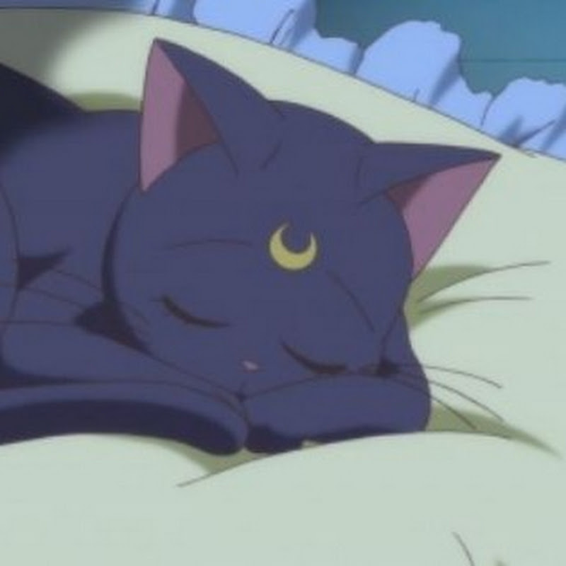 Fallasleephere icon