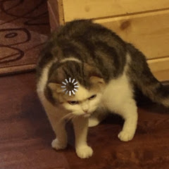 Yukimuro